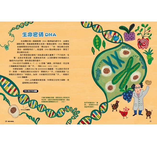 科學素養練功房套書(全套4冊）：科學、科技、工程、數學-精裝