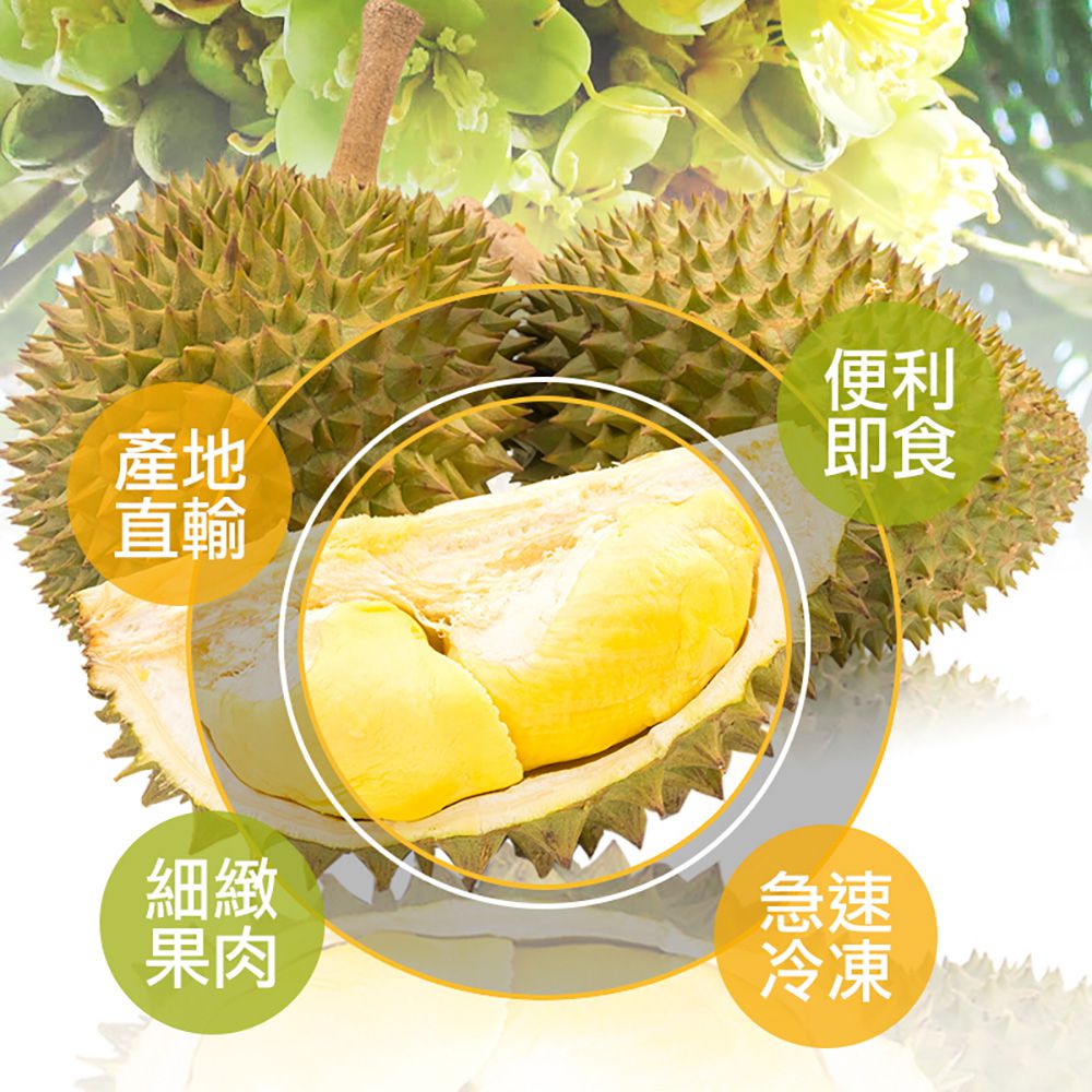 泰國進口鮮凍金枕頭榴槤6盒組(350g/盒)