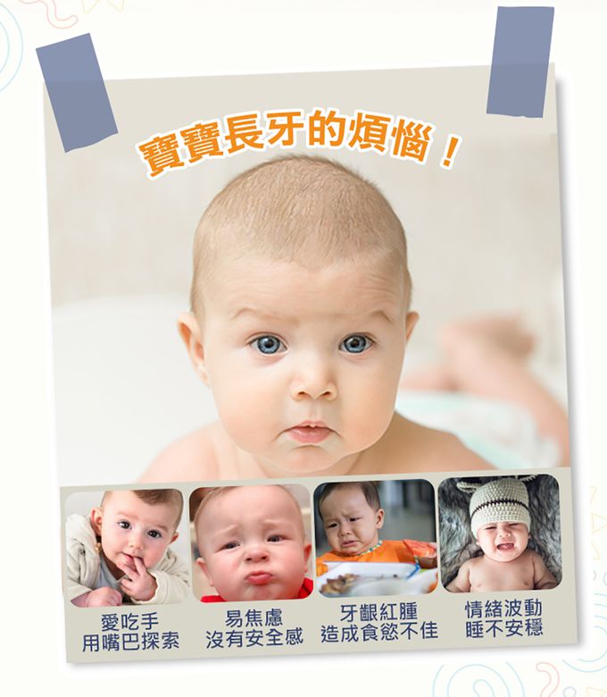 Nuby - 手握式矽膠固齒器-無尾熊