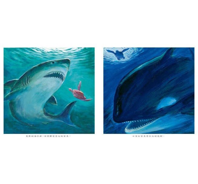 一顆海龜蛋的神奇旅程