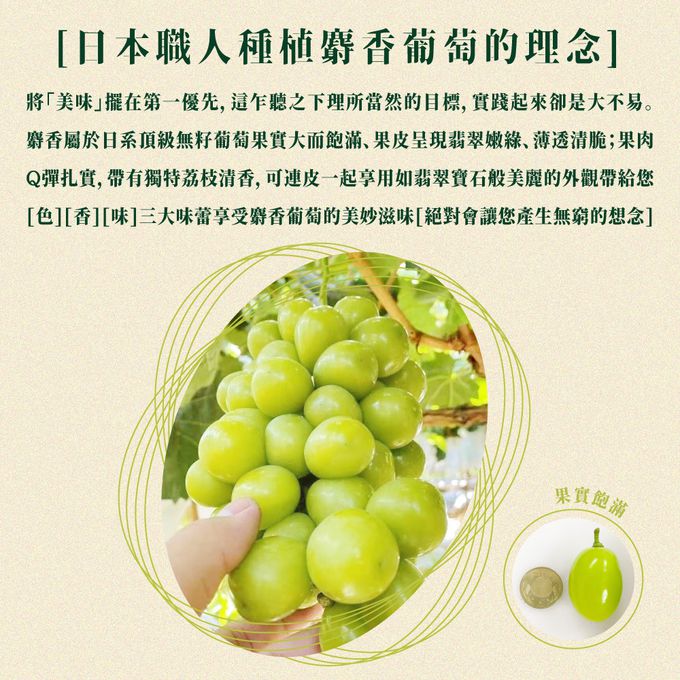 【日本空運直送麝香葡萄】✧中秋精緻送禮✧今年僅此一檔！