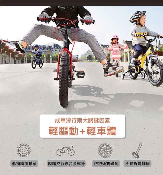 Royalbaby - 14吋星際兒童腳踏車(送打氣筒)-紫色