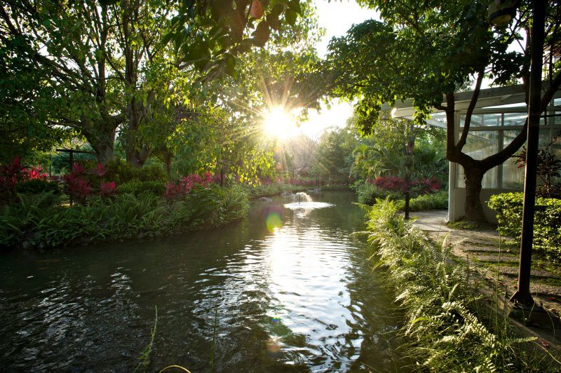 台東池上日暉國際渡假村｜頂級 Airstream 露營車