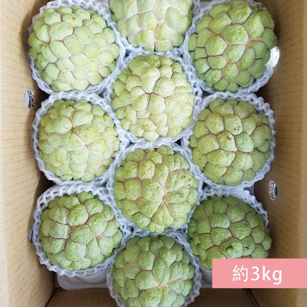 (曙光市集)(大顆)精選台東太麻里大目釋迦(小組)-約3kg（4-6顆裝）