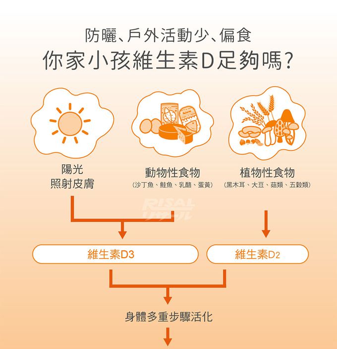 小兒利撒爾Risal - 綜合乳鐵-50包/盒*1+小魚球-60粒/瓶*1+維生素D3滴液-15ml/瓶*2+贈品-機能活菌12-7包/盒