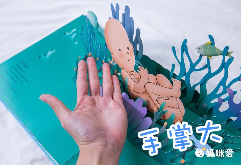 你在媽媽肚子裡的樣子―1：1真實比例小寶寶立體書（立體封面典藏版）