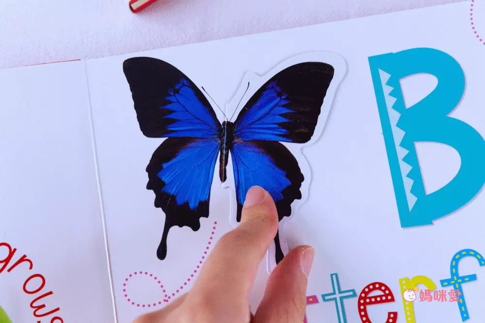 日本設計研發《KIDsREAD 四語圖解字典 》終於補貨！