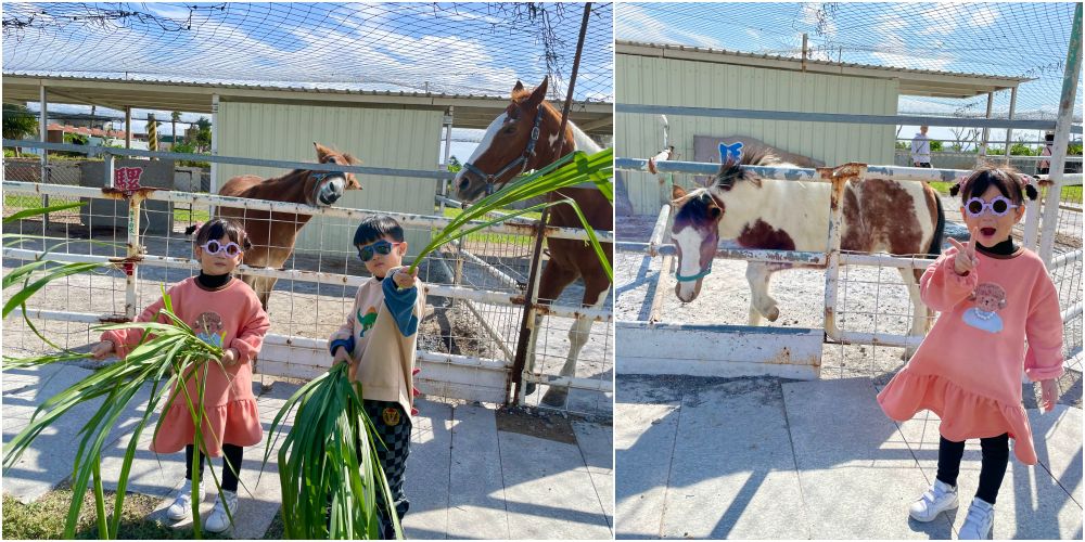 花蓮【悅樂旅店】3折起★再送樂園門票！