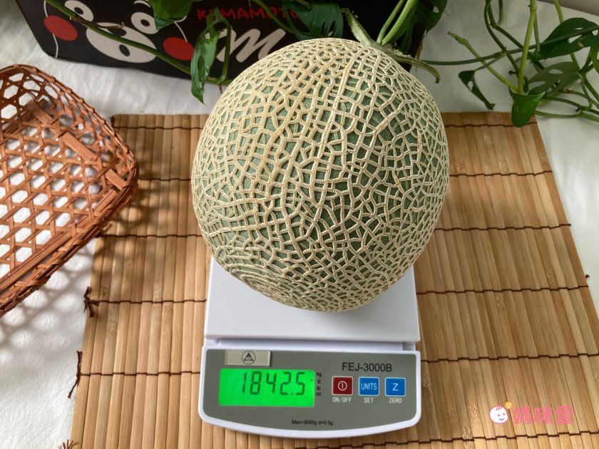 甜度高達20度！【日本熊本熊 溫室綠肉哈密瓜】空運直送