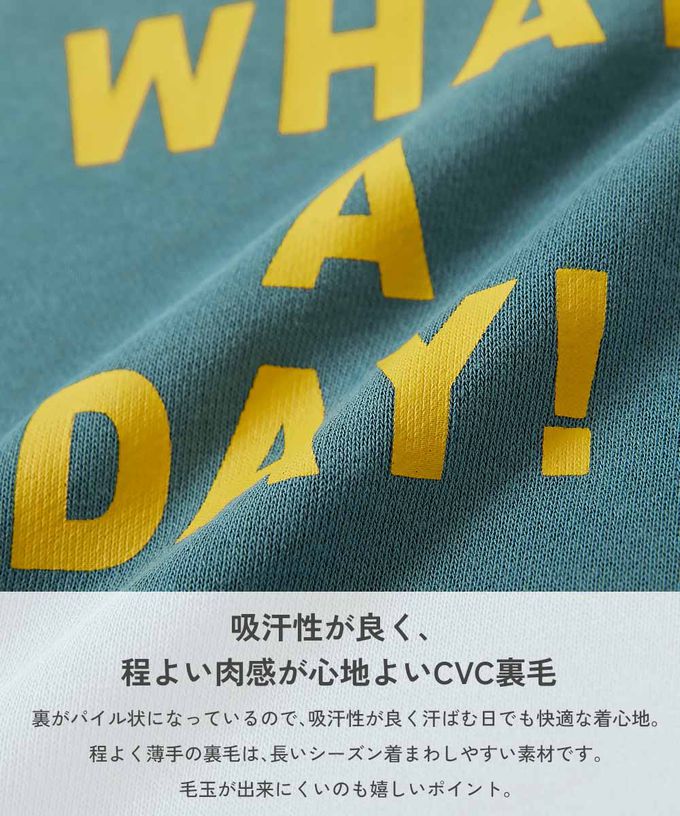 日本 devirock - 吸汗舒適印花長袖上衣-袖子恐龍-燕麥