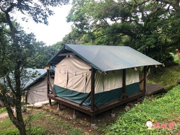 義大利藥廠 【驅蚊爽天然防蚊液】 全球首創野紅茄成分