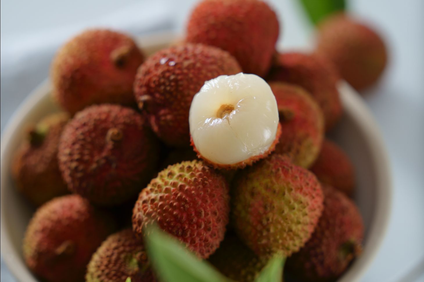 爆汁玉荷包/荔枝！高雄大樹頂級產銷 ☞產地直送最新鮮