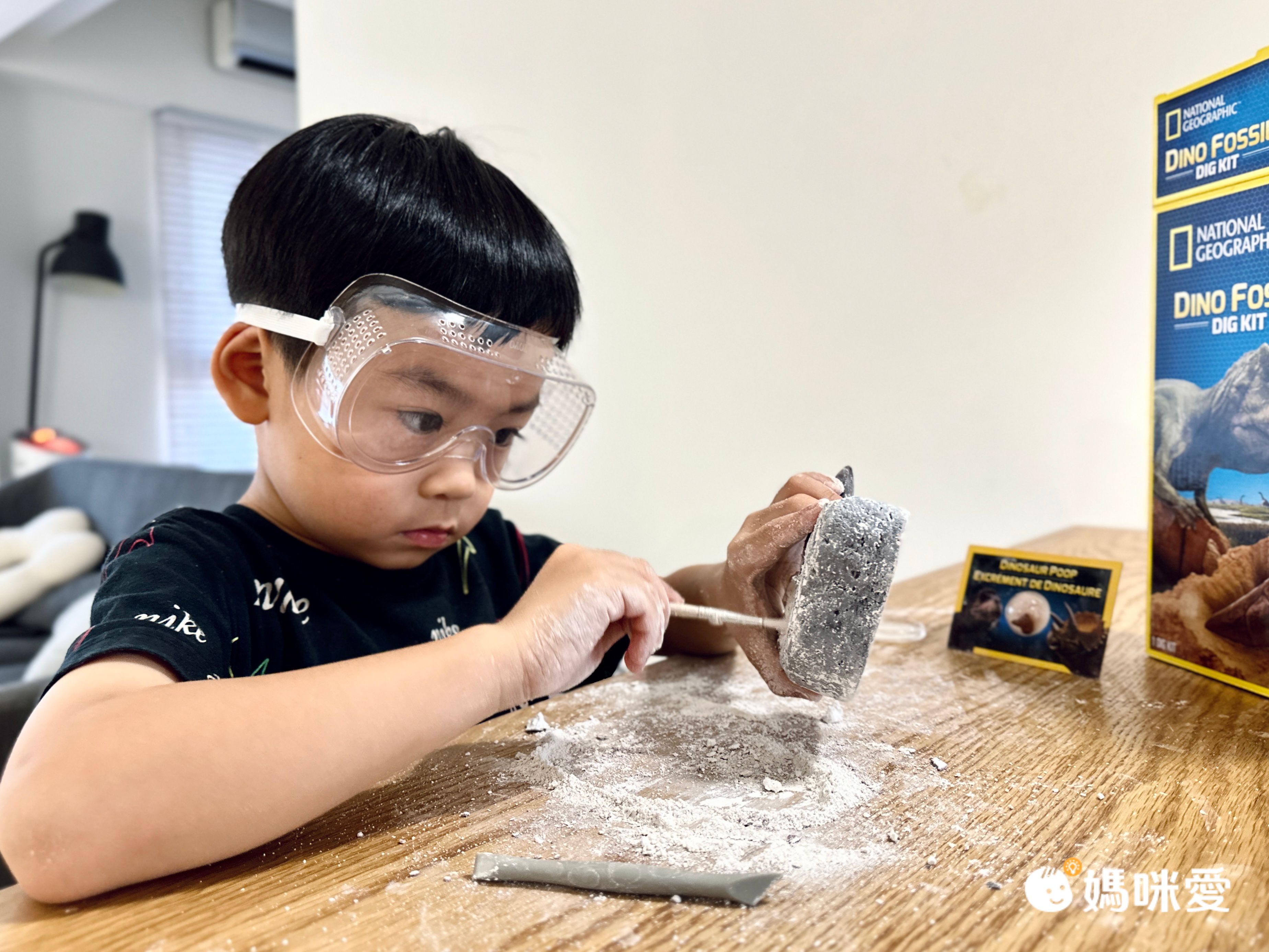 NATIONAL GEOGRAPHIC - 國家地理頻道 恐龍化石挖掘套組