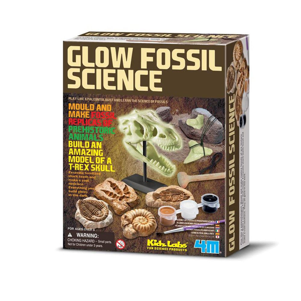 恐龍化石科學Glow Fossil Science