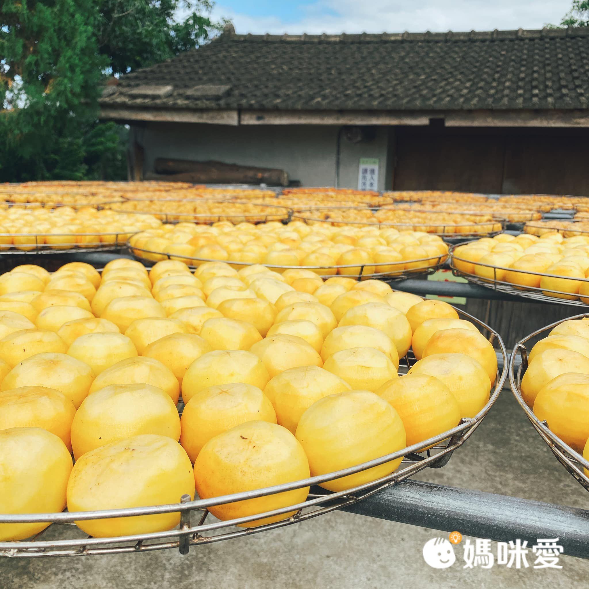 【寒假快樂出遊書單】跟著地圖認識台灣！