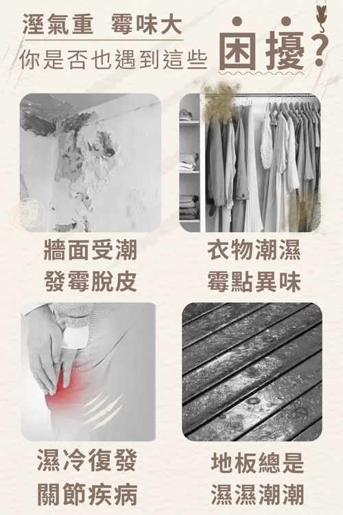 【防霉救星】抑濕小雨傘