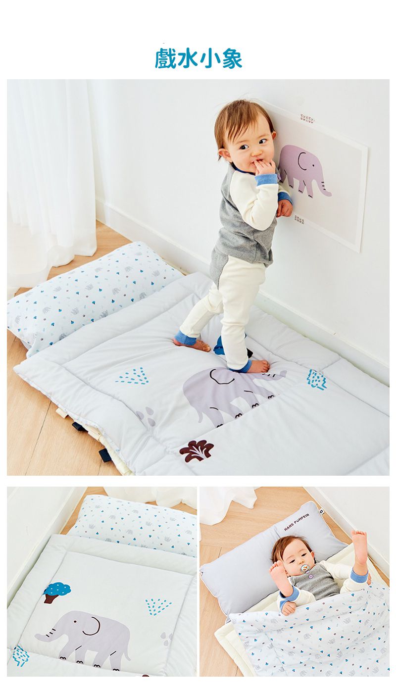 韓國 Han's Pumpkin - 366days Micro Fiber 防蹣抗菌雙面兒童三件式睡袋組-栗香松鼠