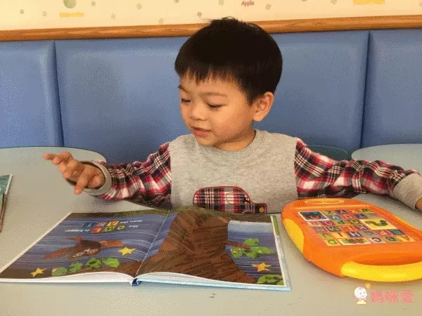 【禾流文創】國際繪本艾瑞卡爾有聲學習套書 / 會動的小汽車立體書！