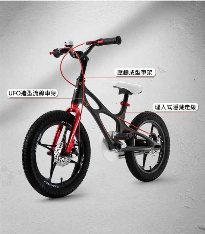 Royalbaby - 14吋星際兒童腳踏車(送打氣筒)-紫色