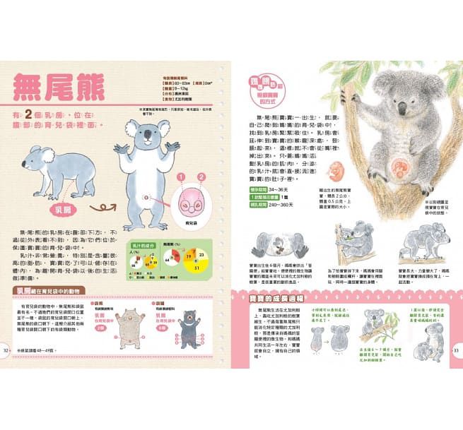 動物媽媽的乳房：動物比較圖鑑-精裝