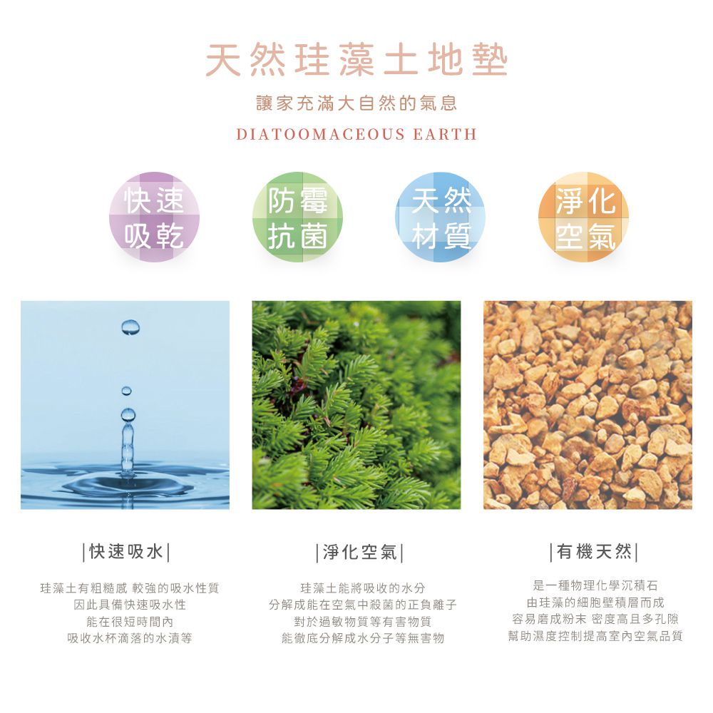 Sanrio三麗鷗【玩偶布丁狗】 珪藻土軟式吸水地墊 浴室地墊 腳踏墊 吸水墊60X40X0.5cm