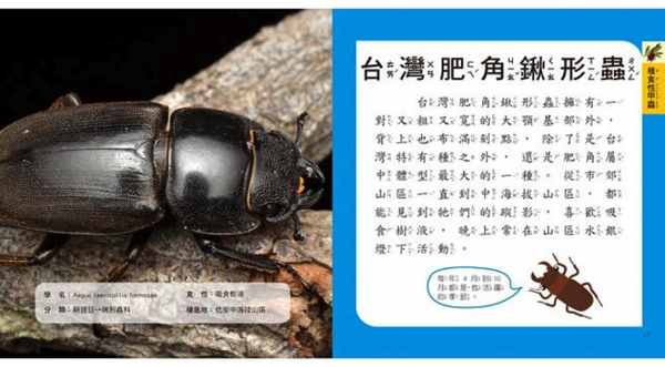 我的第一本甲蟲博士小百科NEW-內含小百科+12款甲學習模型及3個配件