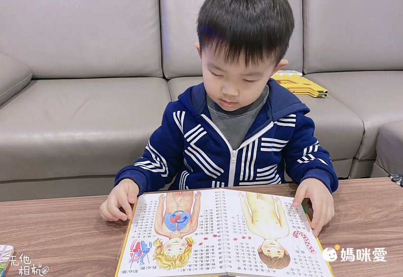 2D透視膠片書-工地實況