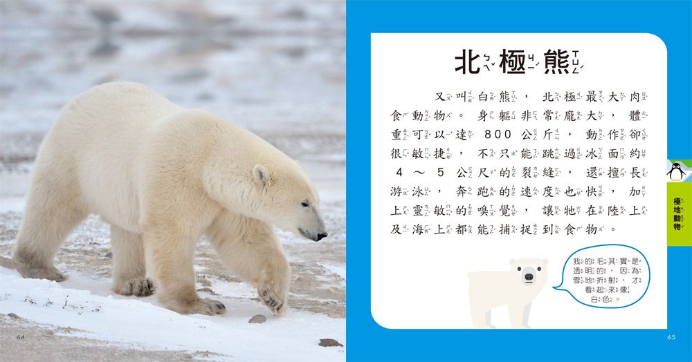 我的第一本動物博士小百科NEW-1本小百科+12款動物學習模型+收納袋