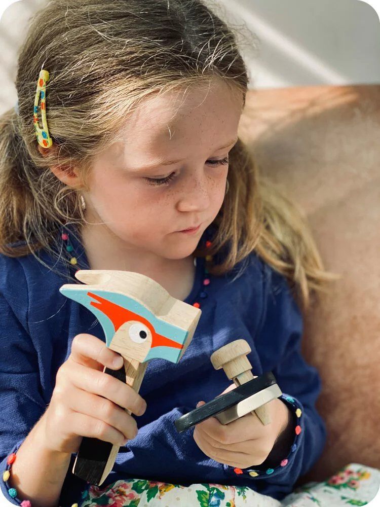 美國 Tender Leaf - 啄木鳥工具箱