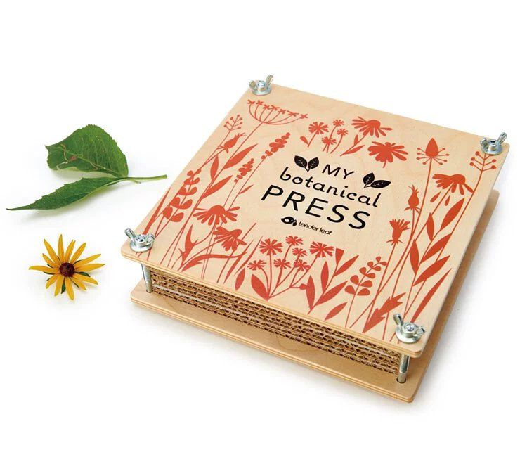 美國 Tender Leaf - 木製四季壓花本