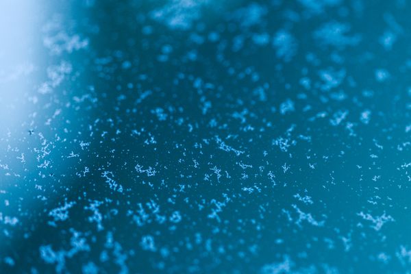 【限時優惠中】花蓮瑞穂天合國際觀光酒店♢歐風溫泉渡假莊園