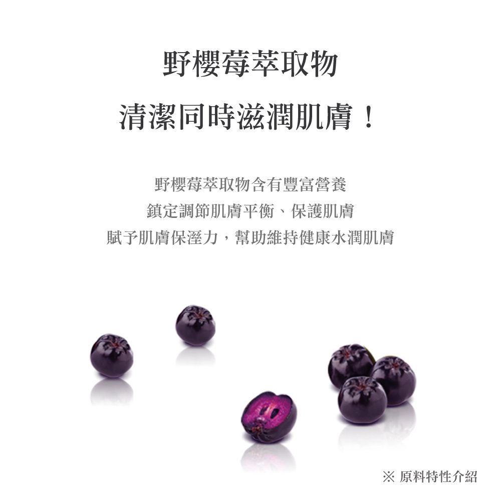 銀離子抗菌｜輕厚野櫻莓｜純水濕紙巾-有蓋大包-淺紫色-74抽10包
