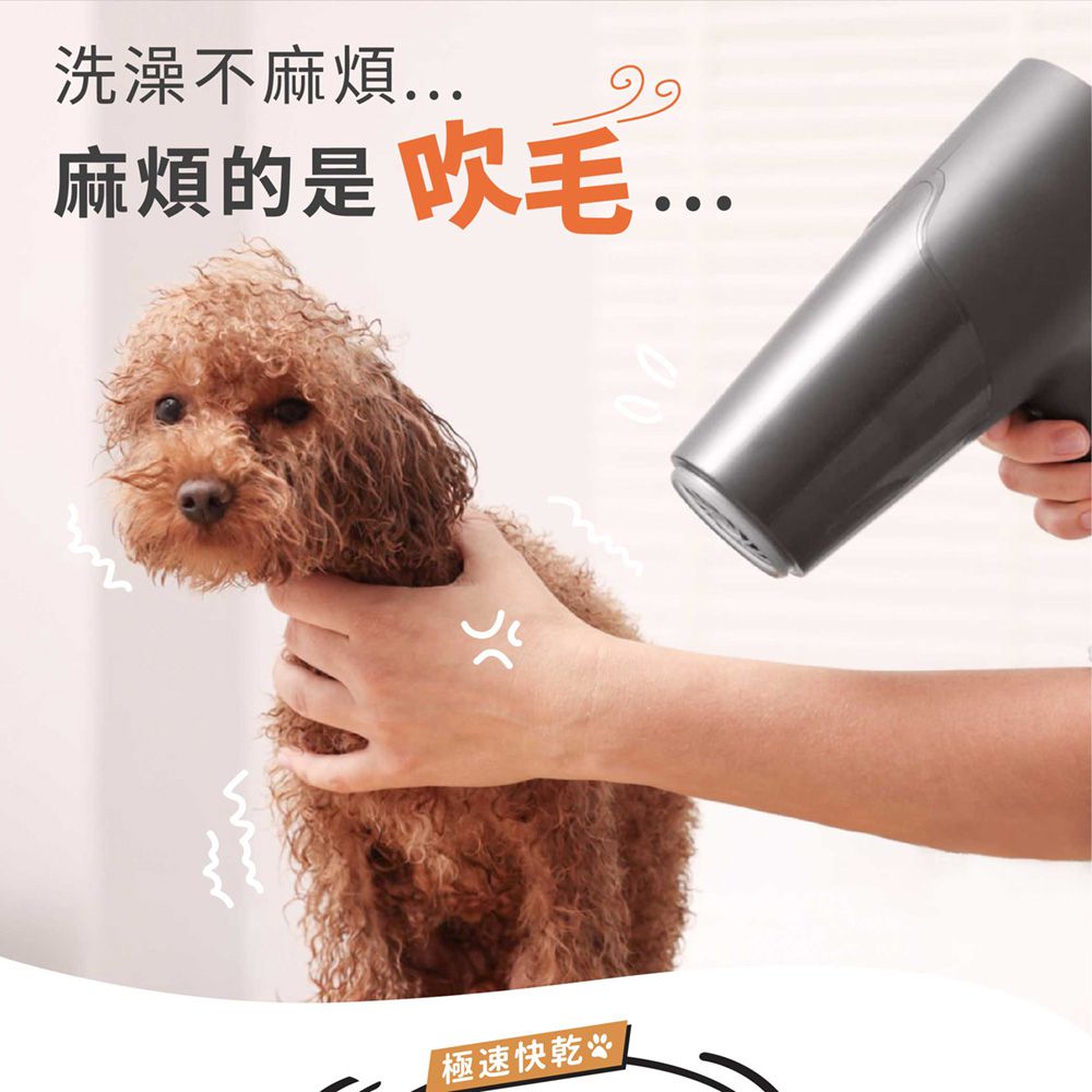 寵物溫控負離子吹乾機(JY-PD01/吹水機/寵物美容/吹風機/烘毛機/低噪音) (白色)-JY-PD01