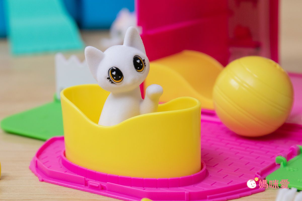 可水洗重複玩！繪畫x家家酒【繪兒樂】彩繪毛小孩