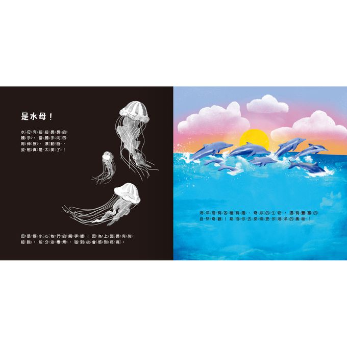 登登登！透光Show 海洋生物來囉！