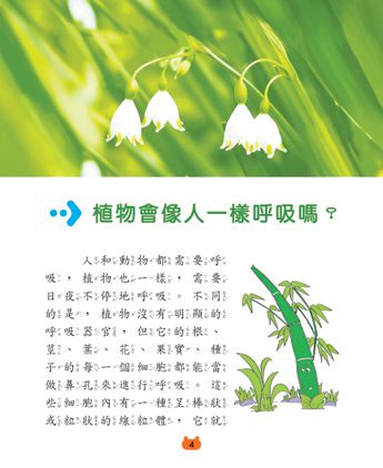 新版兒童十萬個為什麼-植物與地球