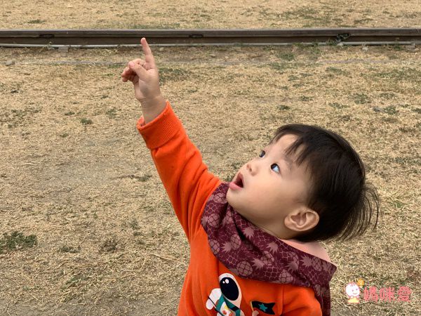 英國 redurchin 有機棉脖圍 / 帽圍 / 披肩