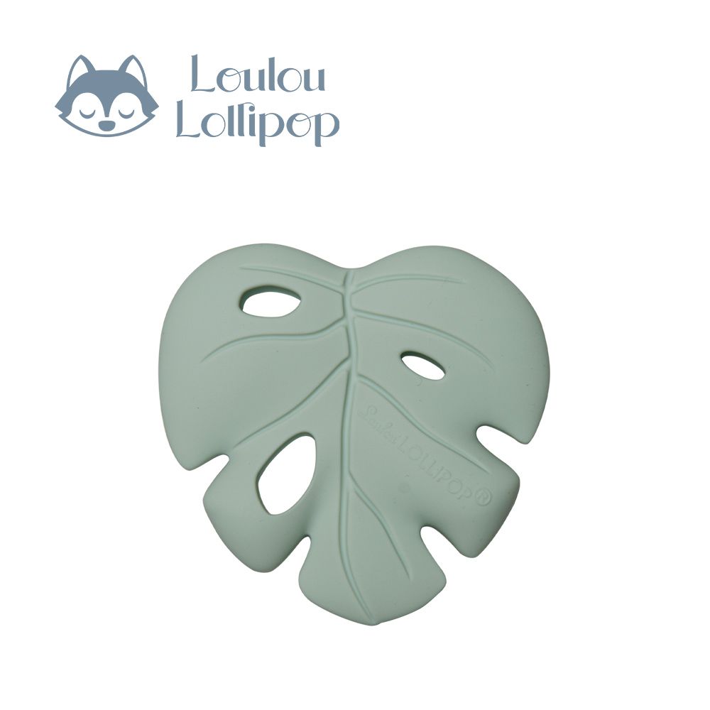 可愛造型矽膠固齒器-綠色龜背芋