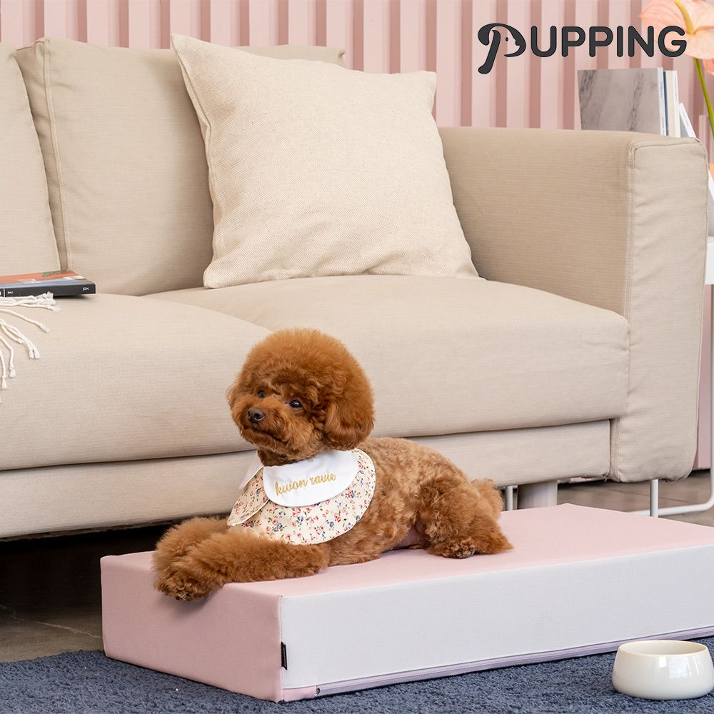 韓國寵物防滑平台 - 粉色