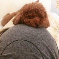 用戶頭像