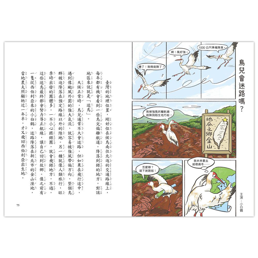 就愛鳥事一籮筐：鳥兒趣問妙答