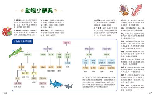一樣不一樣：水生動物【A級福利品特惠】-全彩 (單本)-精裝