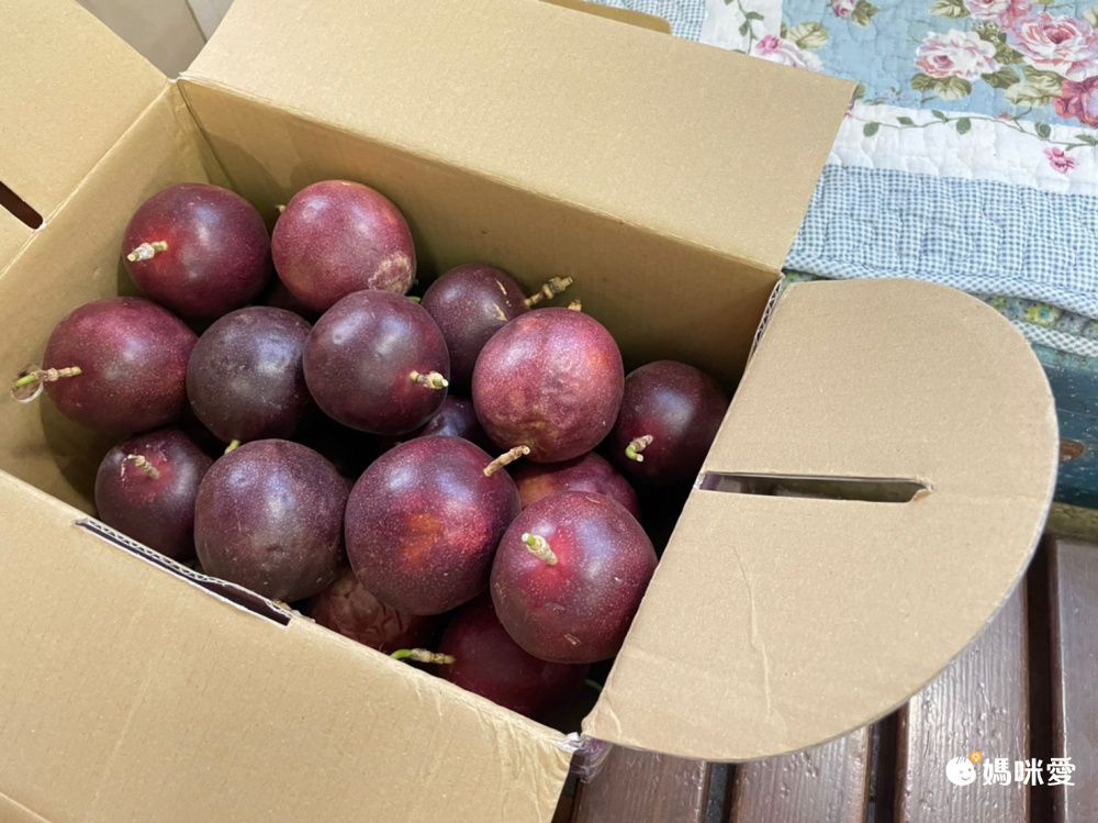 全團免運！【吊網特選香甜百香果】南投埔里直送，香甜多汁！