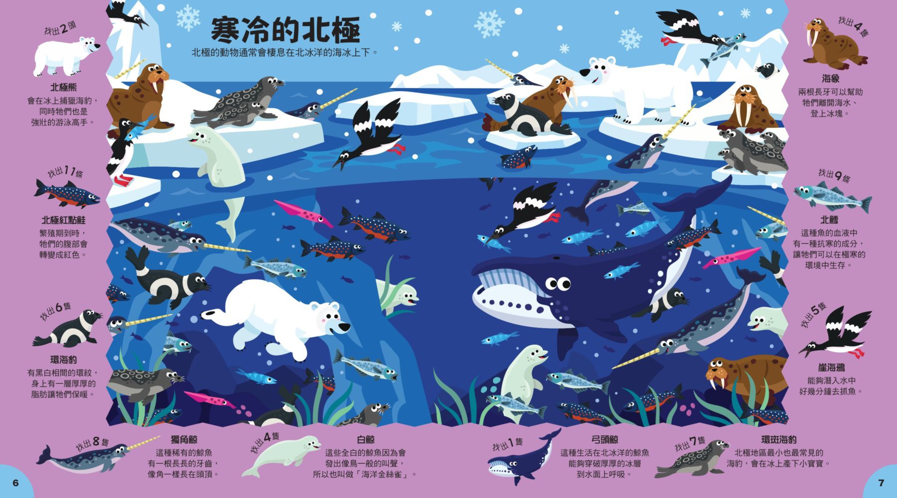 小偵探找一找-2：海洋生物在哪裡？