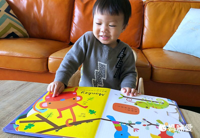 禾流文創 - Amazing!變形認知書 3本一套-變形恐龍認知書+變形動物認知書+變形魔法認知書