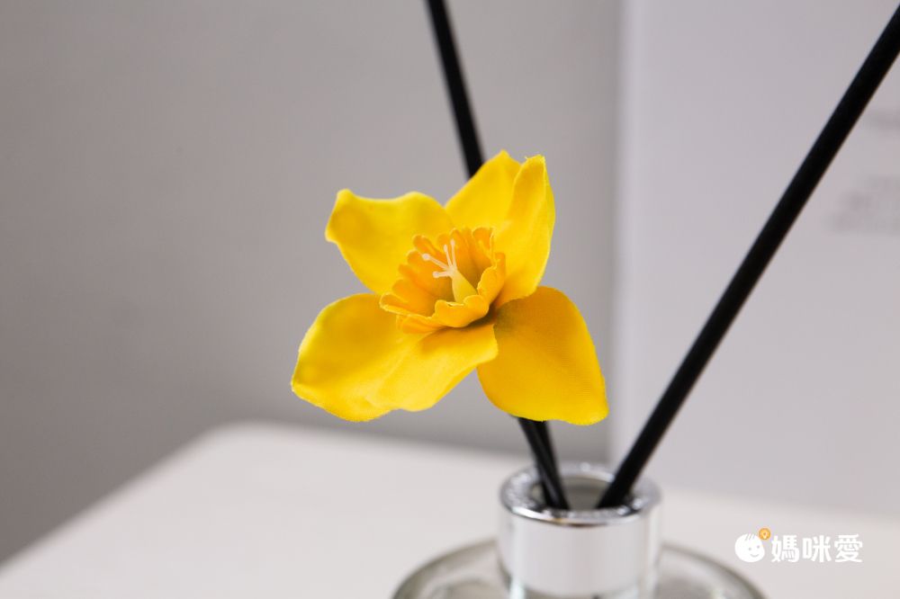 韓國 cocodor - 水仙花基本款擴香瓶-黑櫻桃-120ml