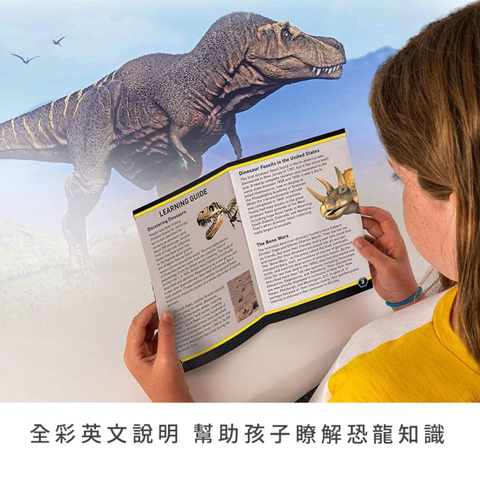 NATIONAL GEOGRAPHIC - 國家地理頻道 恐龍化石挖掘套組