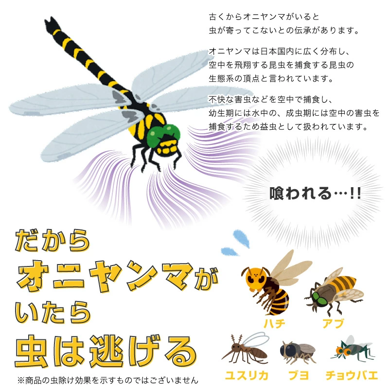 日本代購 - 超仿真蜻蜓君別針/吊飾-無霸勾蜓-黑x黃 (12x10.5cm)