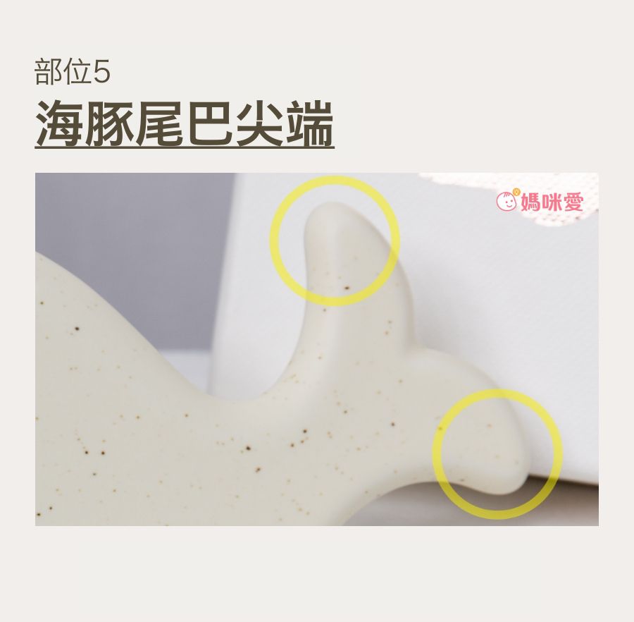 韓國 EDVIEW - 全身適用手工舒壓陶瓷刮痧板-白色海豚-1入-直播專屬