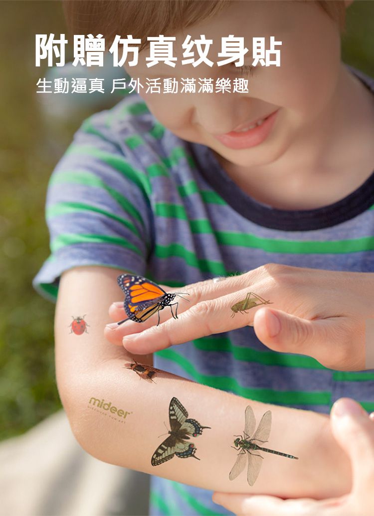 MiDeer - 昆蟲觀察盒